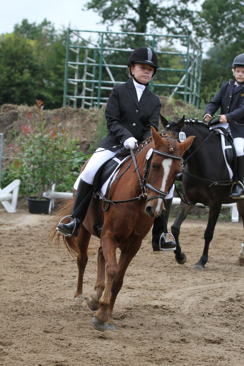 Bild 991 - WBO-Turnier am 18.9.11